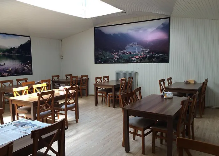 Отель Fatih Ялова